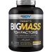 BİG JOY BİG MASS + GH FACTORS 3000 GR